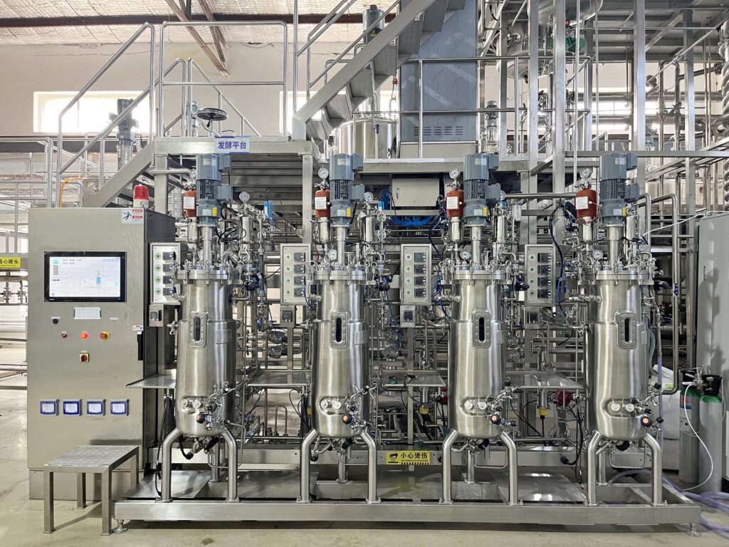 bioprocess engineering fermenters