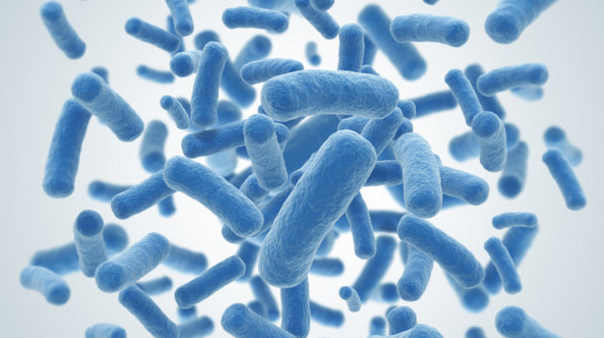 probiotics